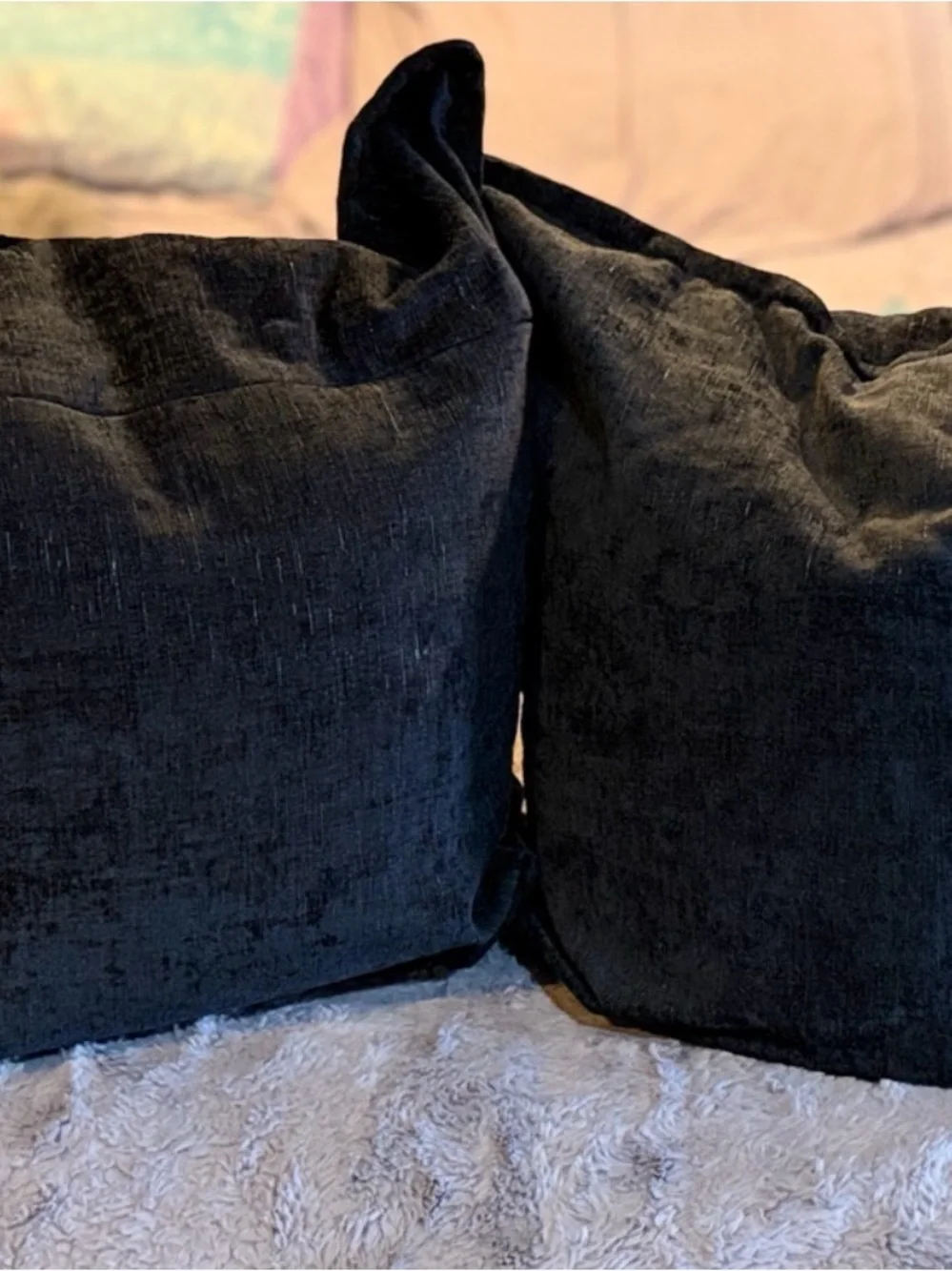 Set of 2 Black Decorative Throw Pillow Cover with Pillows